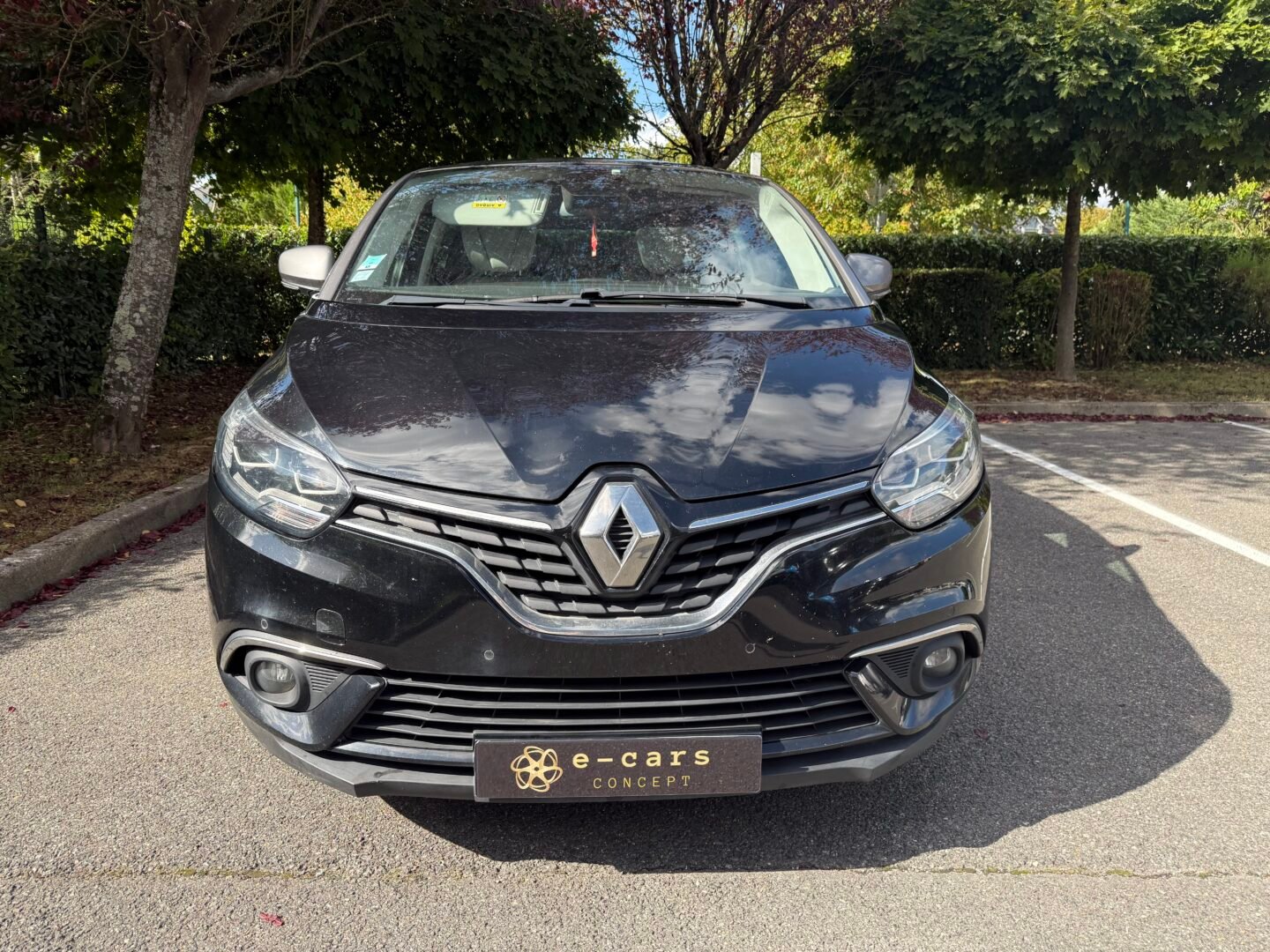 RENAULT Scénic IV EDITION ONE 1.2 Tce 16V 131 cv