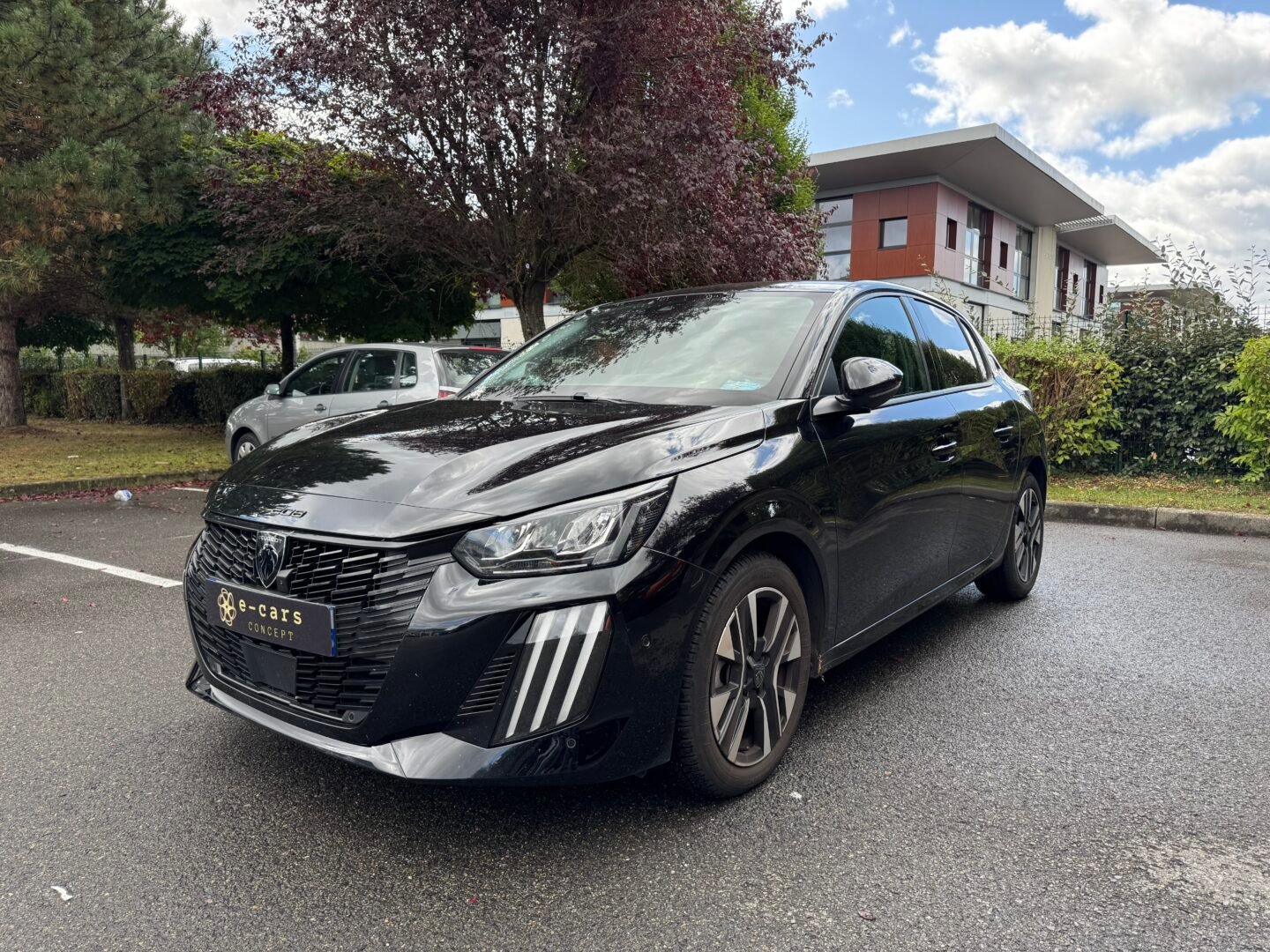 PEUGEOT 208 II (P21) Phase 2 5 Portes 1.2 12V S&S 100 cv