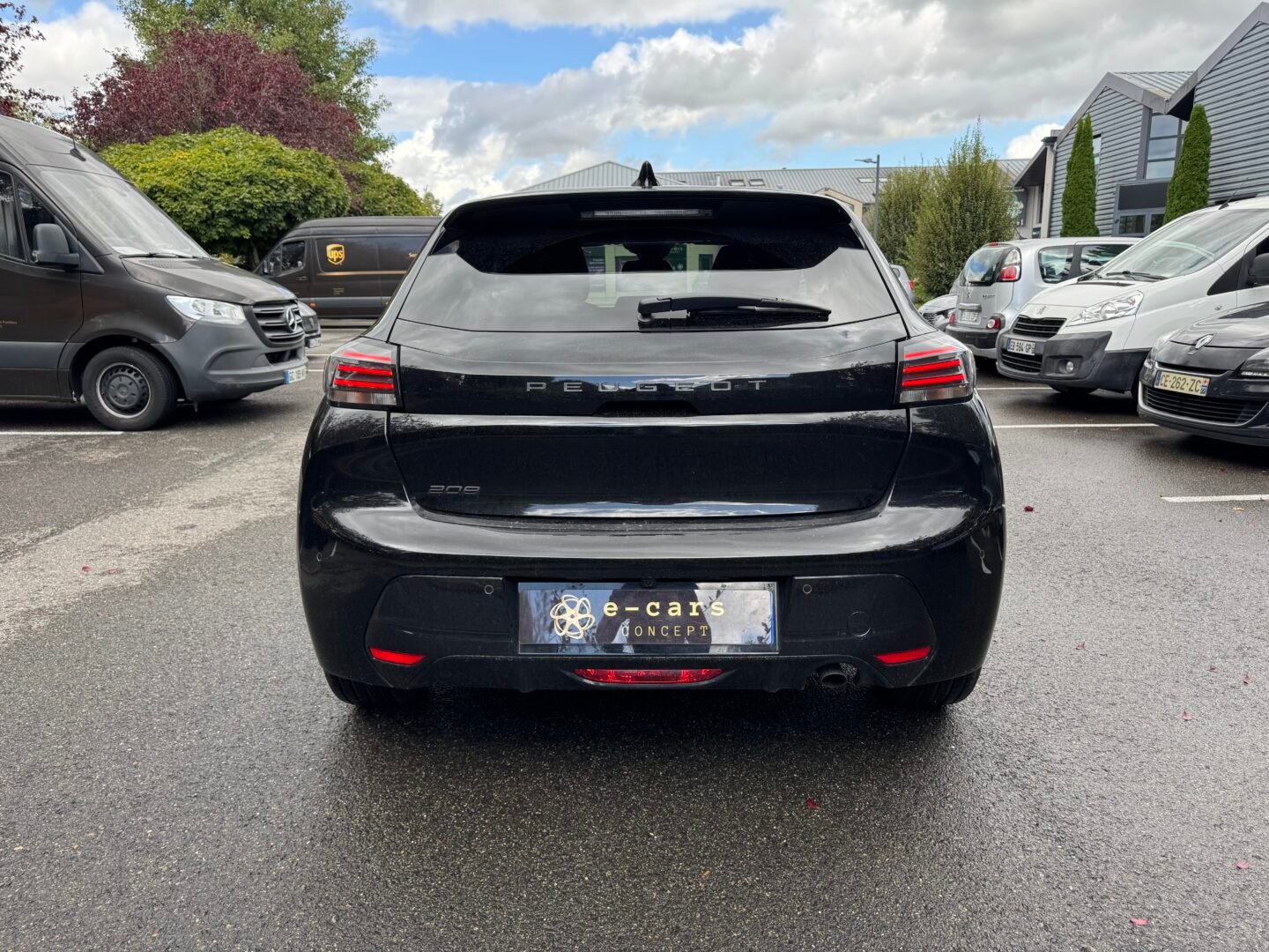 PEUGEOT 208 II (P21) Phase 2 5 Portes 1.2 12V S&S 100 cv