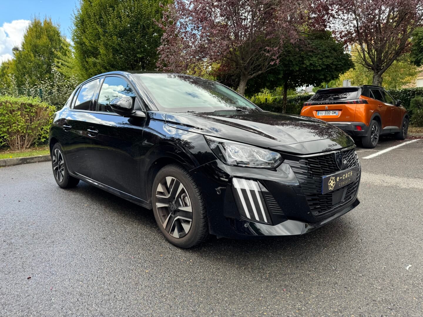 PEUGEOT 208 II (P21) Phase 2 5 Portes 1.2 12V S&S 100 cv