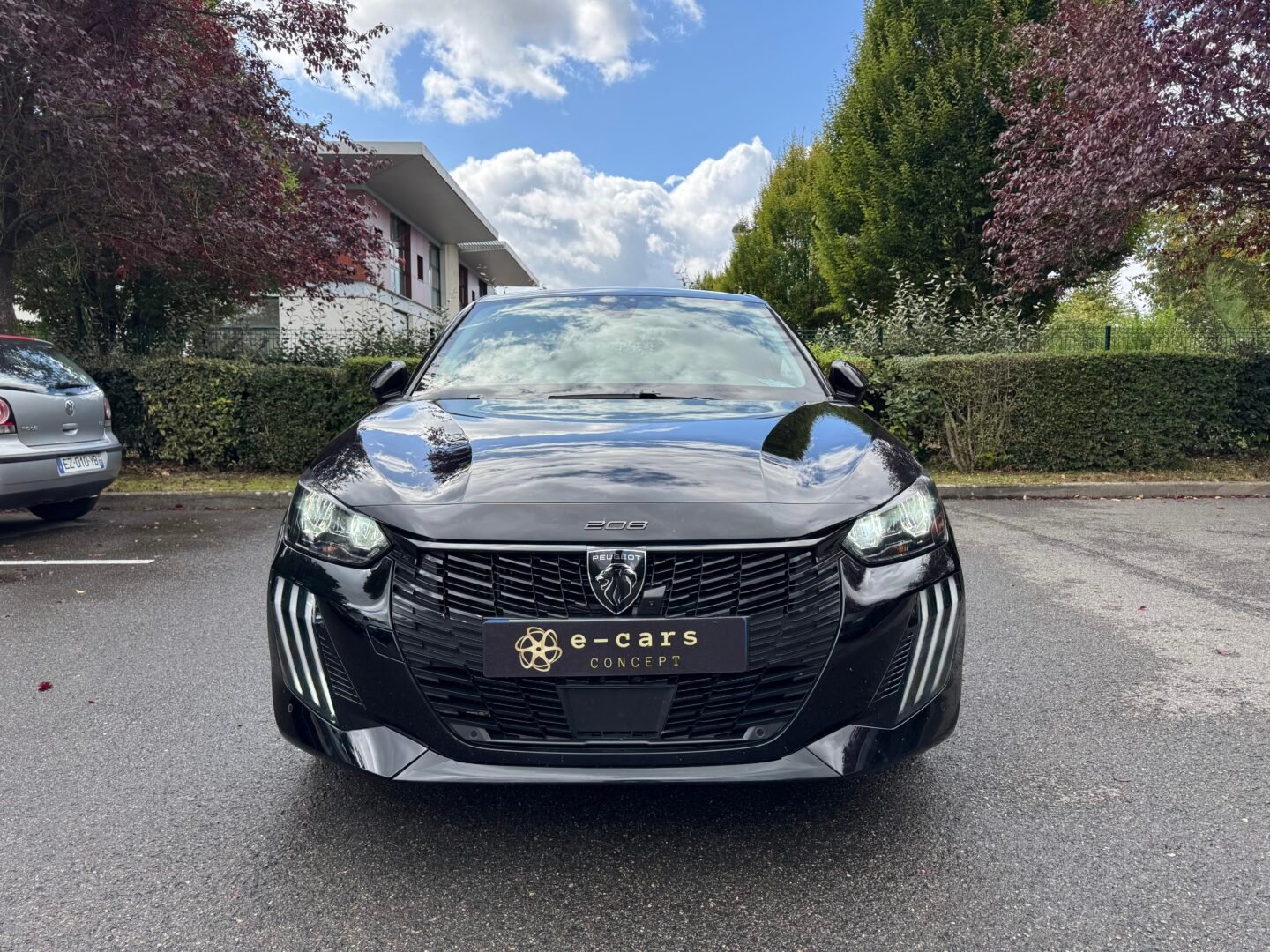 PEUGEOT 208 II (P21) Phase 2 5 Portes 1.2 12V S&S 100 cv