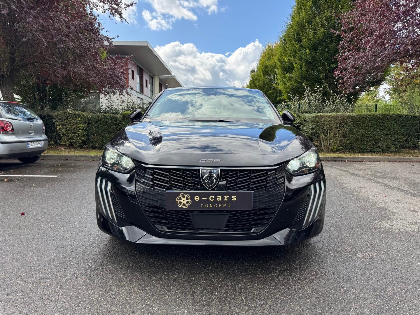 PEUGEOT 208 II (P21) Phase 2 5 Portes 1.2 12V S&S 100 cv