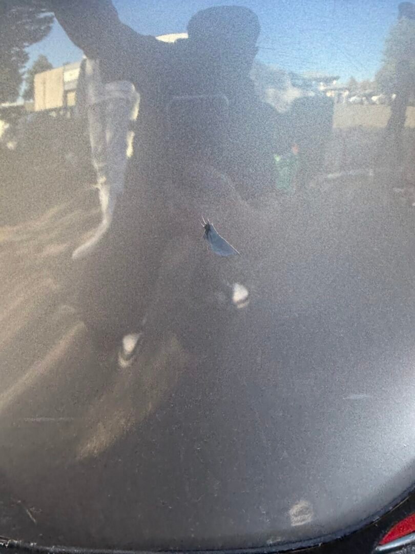 RENAULT Clio IV Estate 0.9 TCe 12V eco2 S&S 90 cv