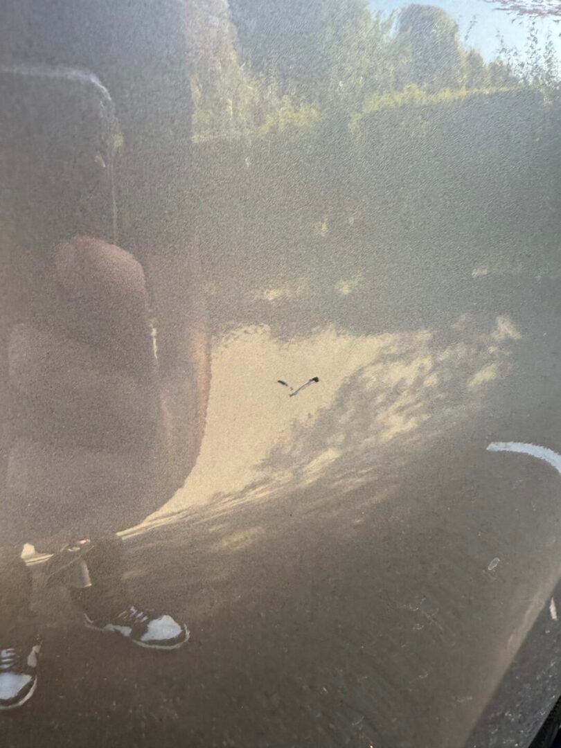 RENAULT Clio IV Estate 0.9 TCe 12V eco2 S&S 90 cv