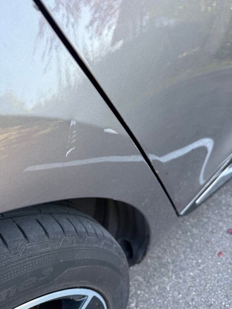 RENAULT Clio IV Estate 0.9 TCe 12V eco2 S&S 90 cv