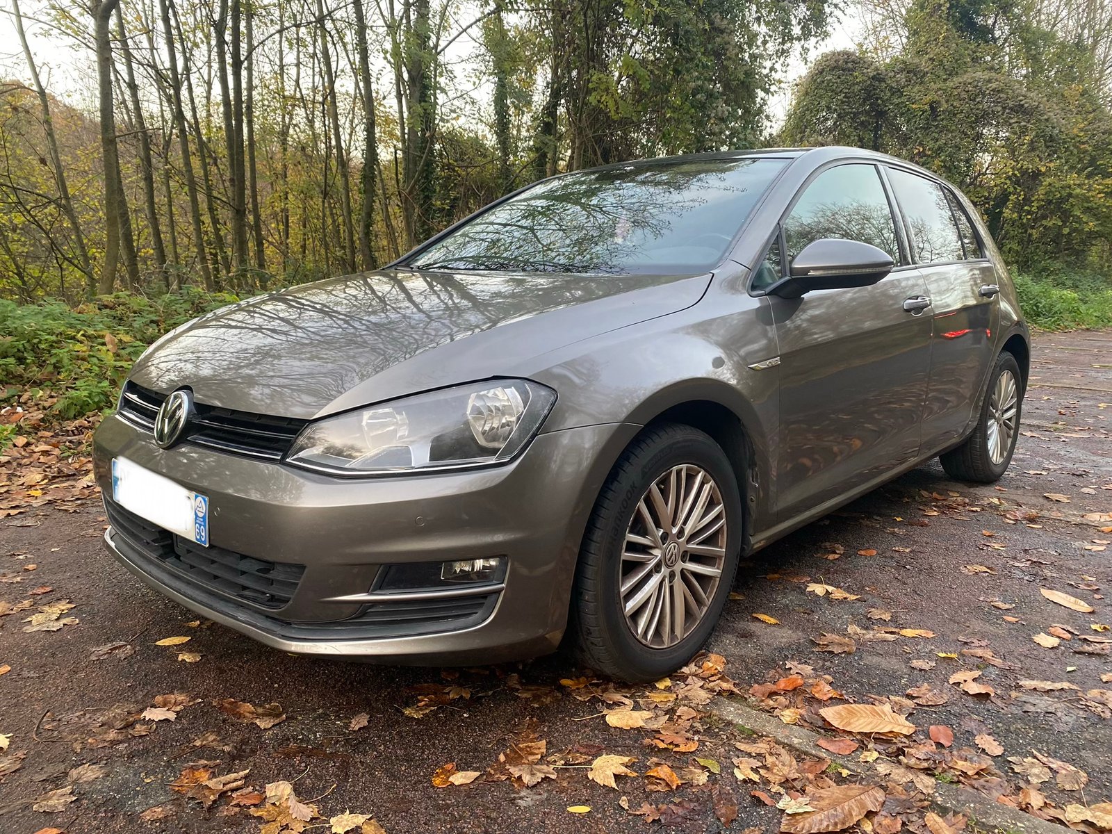 VOLKSWAGEN Golf 7 VII Technology Cup 5 Portes 1.6 TDI 16V Blue Motion S&S 105 cv