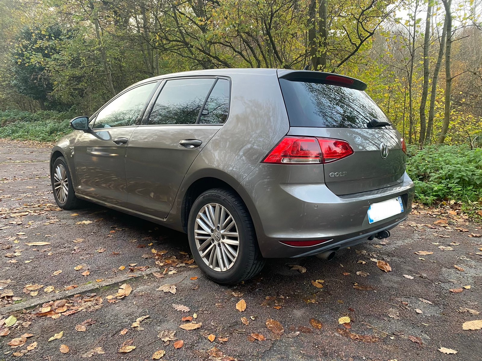 VOLKSWAGEN Golf 7 VII Technology Cup 5 Portes 1.6 TDI 16V Blue Motion S&S 105 cv