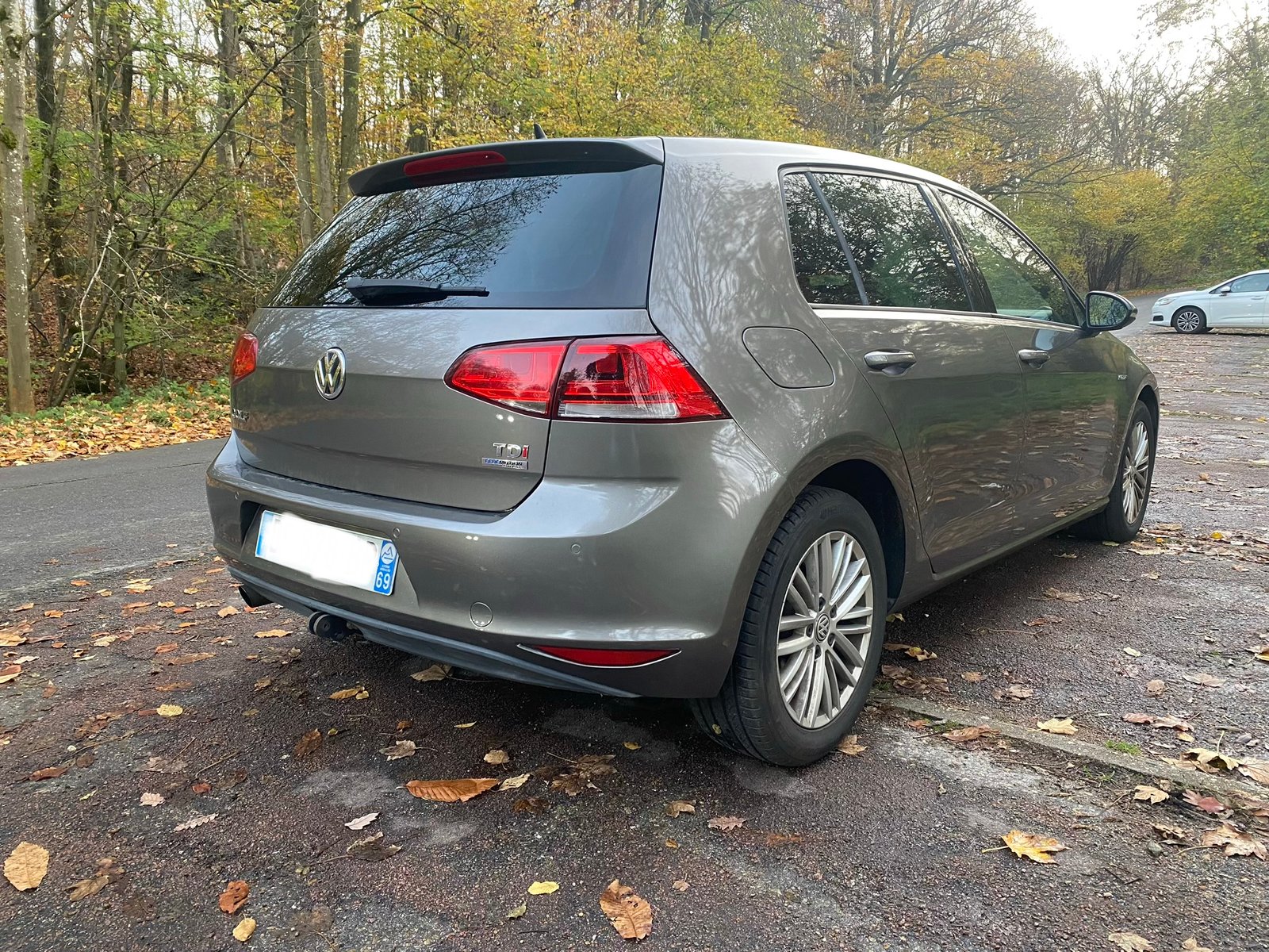 VOLKSWAGEN Golf 7 VII Technology Cup 5 Portes 1.6 TDI 16V Blue Motion S&S 105 cv