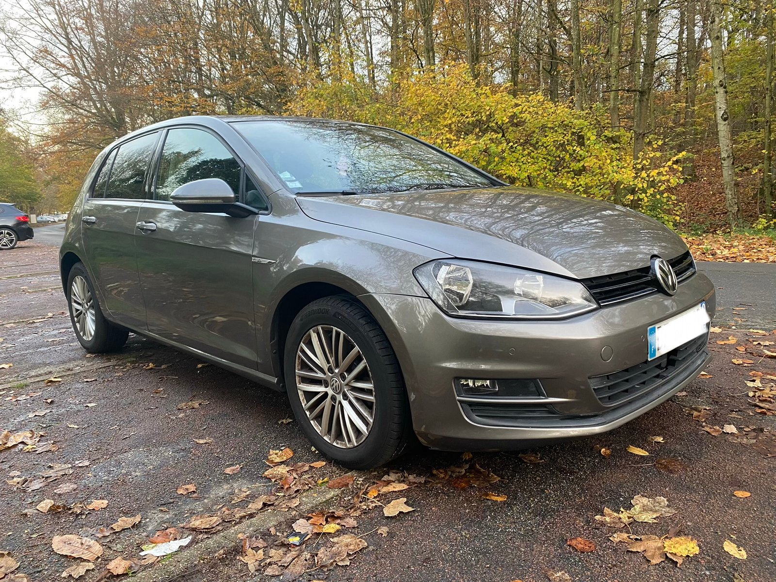 VOLKSWAGEN Golf 7 VII Technology Cup 5 Portes 1.6 TDI 16V Blue Motion S&S 105 cv