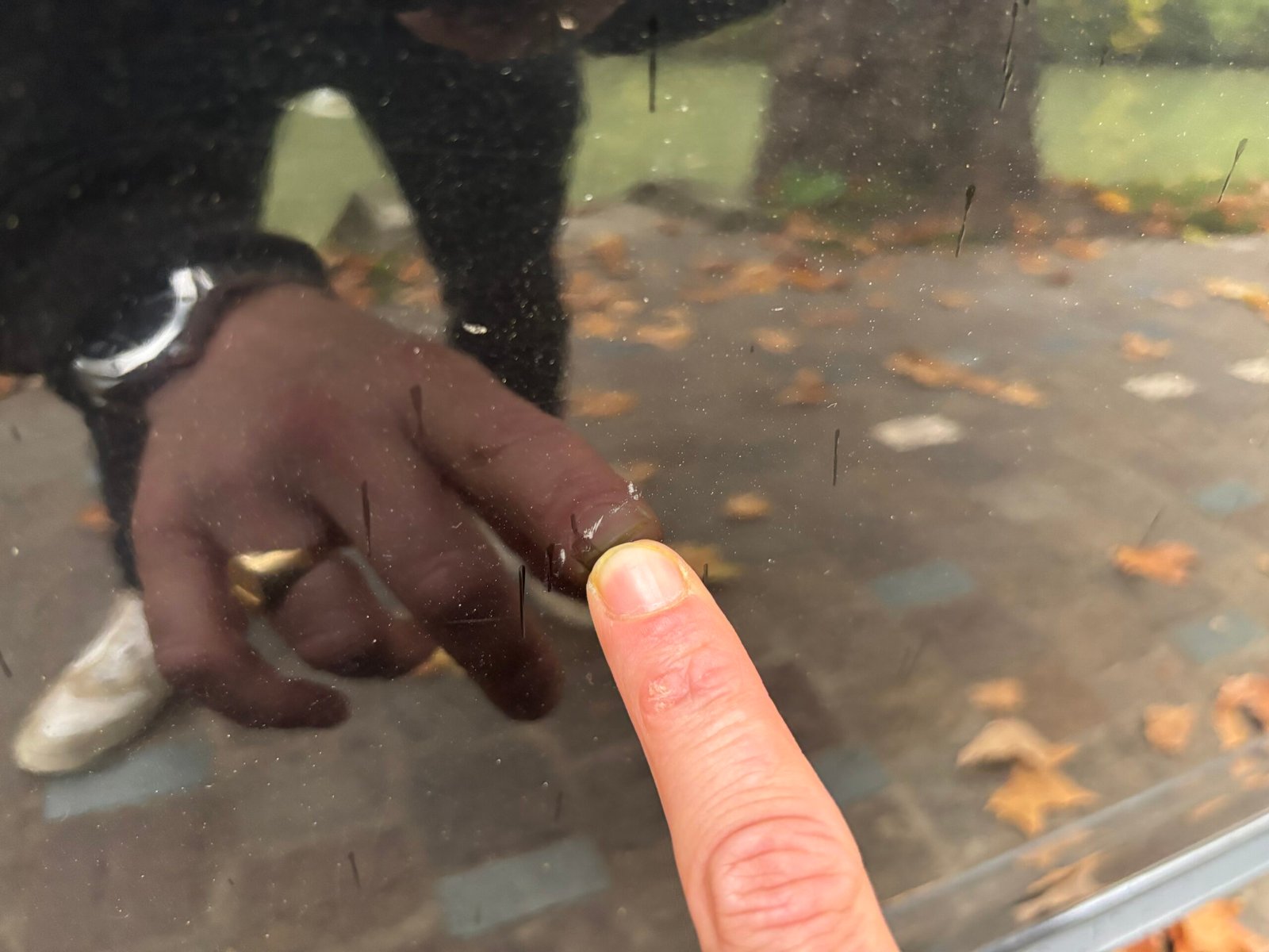 Dacia Sandero II Stepway 0.9 TCe 90 Ch