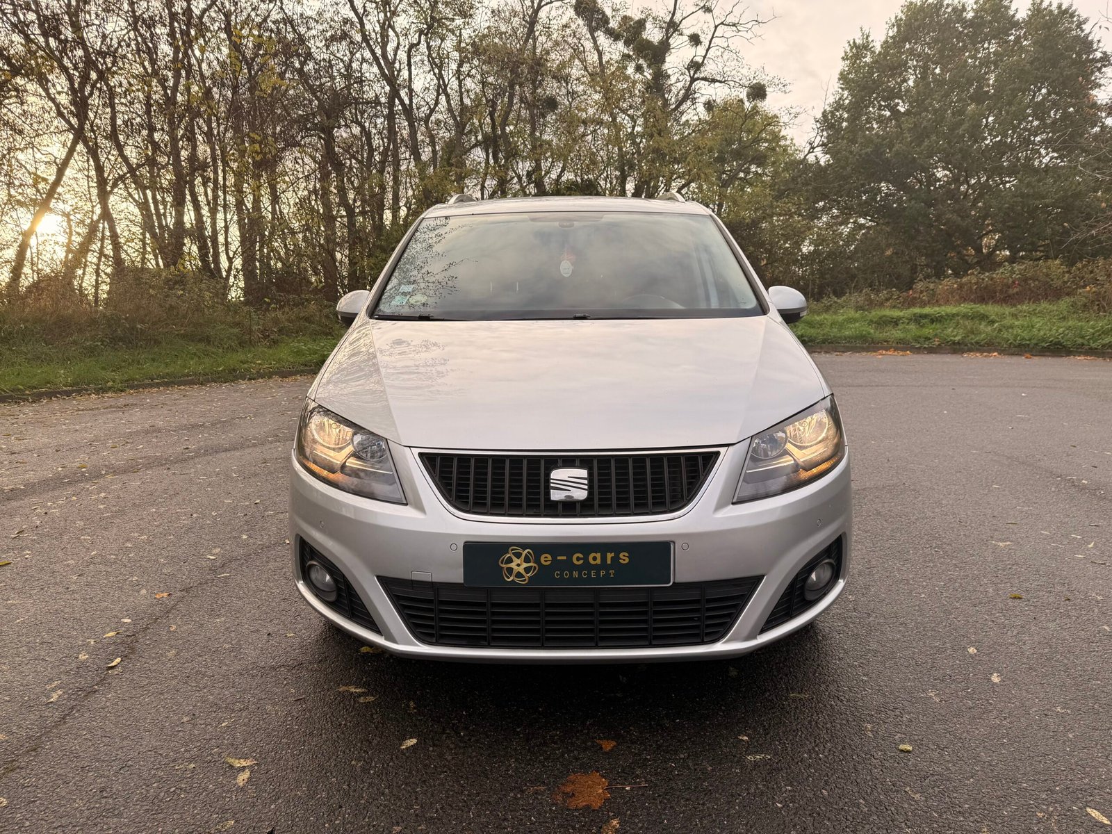 SEAT Alhambra III 2.0 TDi CR 16V FAP 140 cv