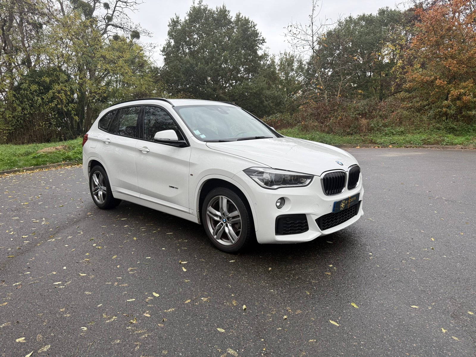 BMW X1 (F48) 18 i  sDrive 1.5 i 140Ch