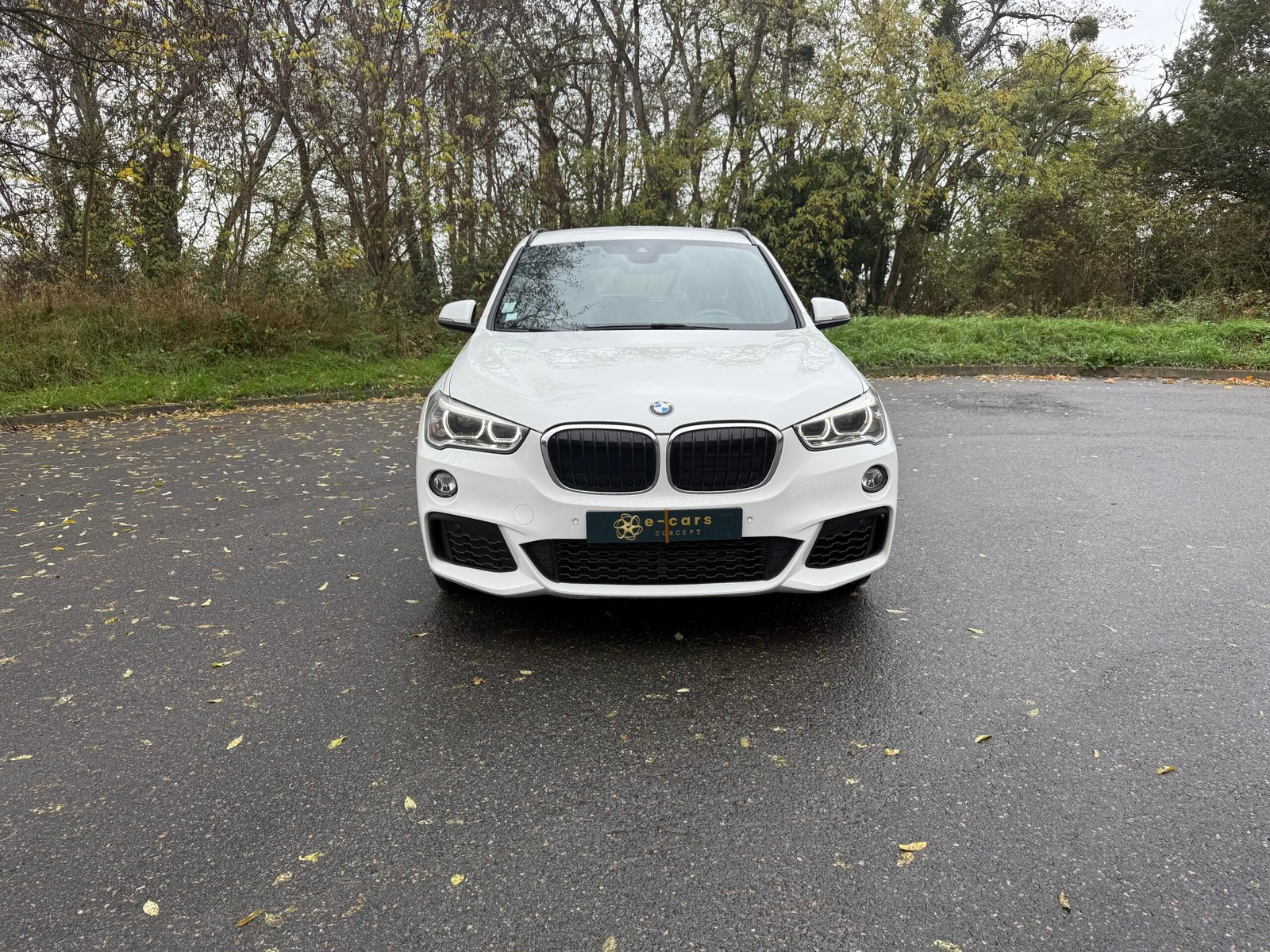 BMW X1 (F48) 18 i  sDrive 1.5 i 140Ch