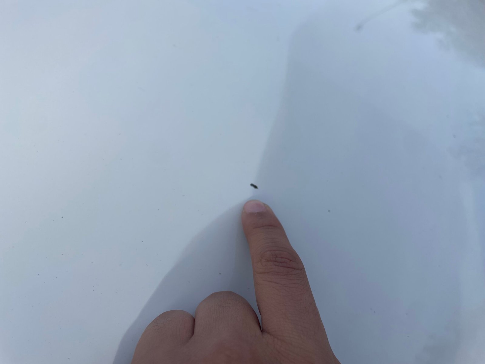 BMW Série 1 118i “Lounge plus” 170 CH