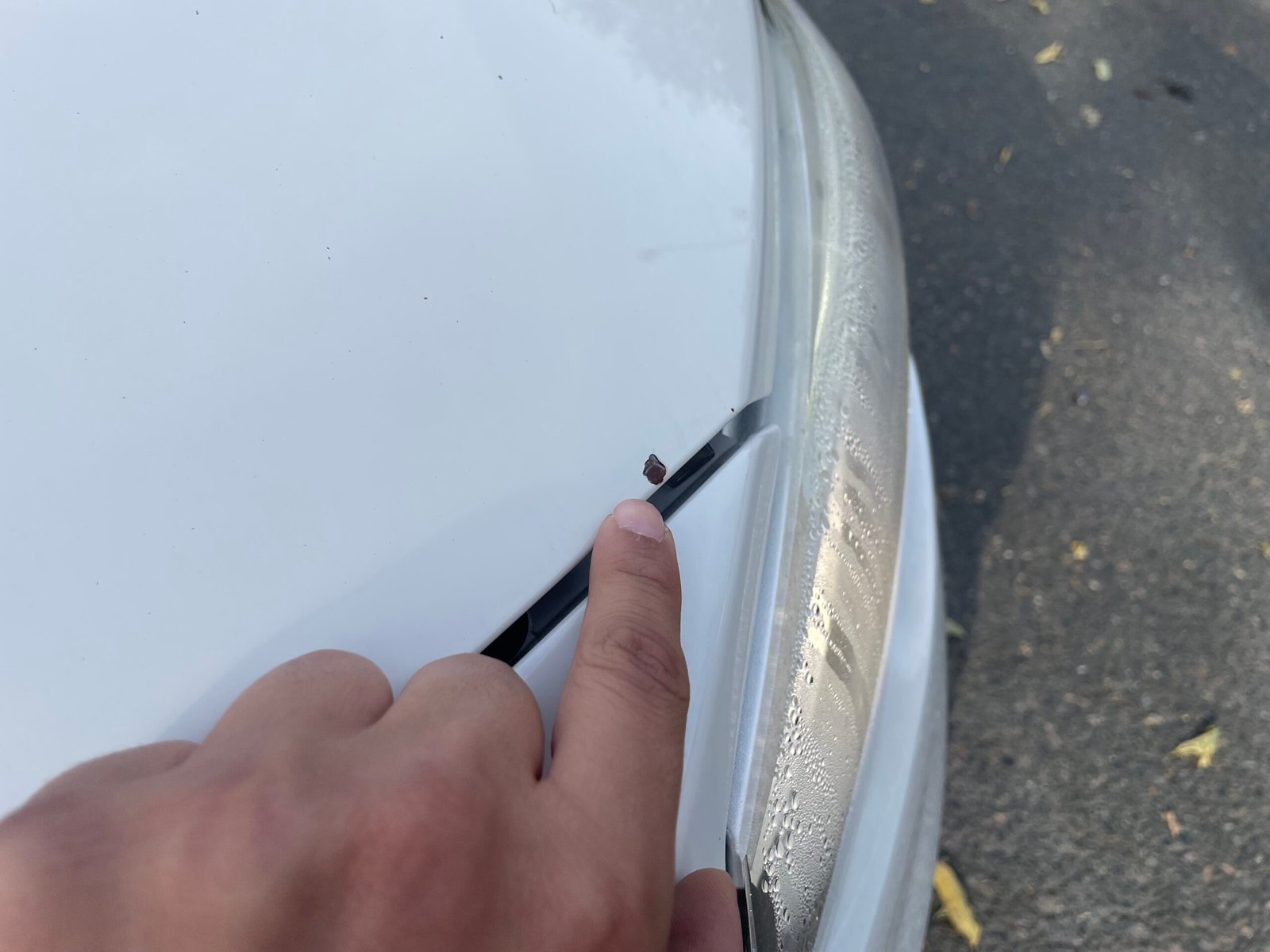 BMW Série 1 118i “Lounge plus” 170 CH