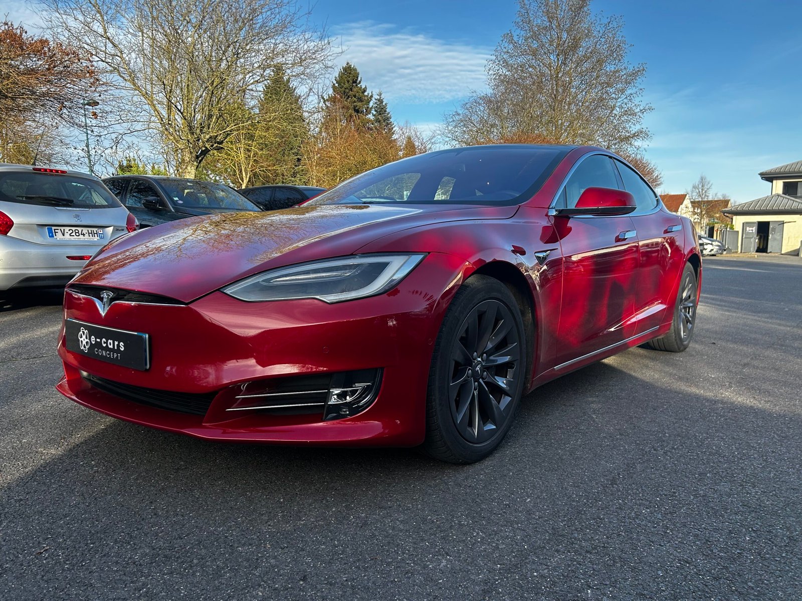 Tesla model s 100d
