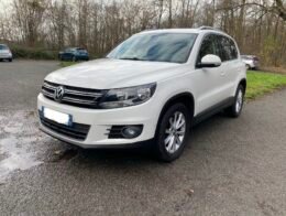 VOLKSWAGEN Tiguan Carat Phase 2 2.0 TDi 16V DPF BlueMotion 140 cv