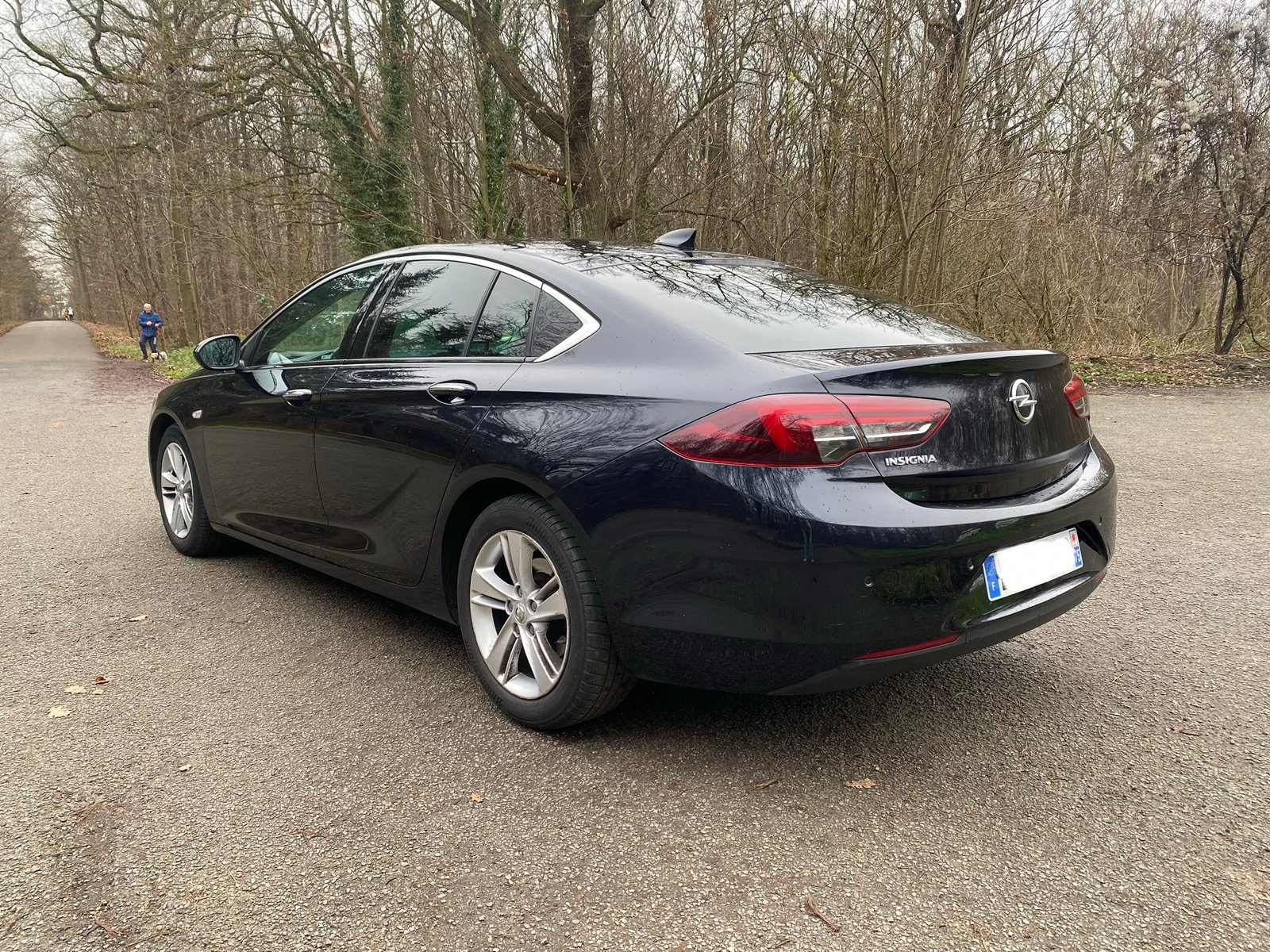 OPEL Insignia Grand Sport Elite 1.6 CTDI 16V S&S 136 cv