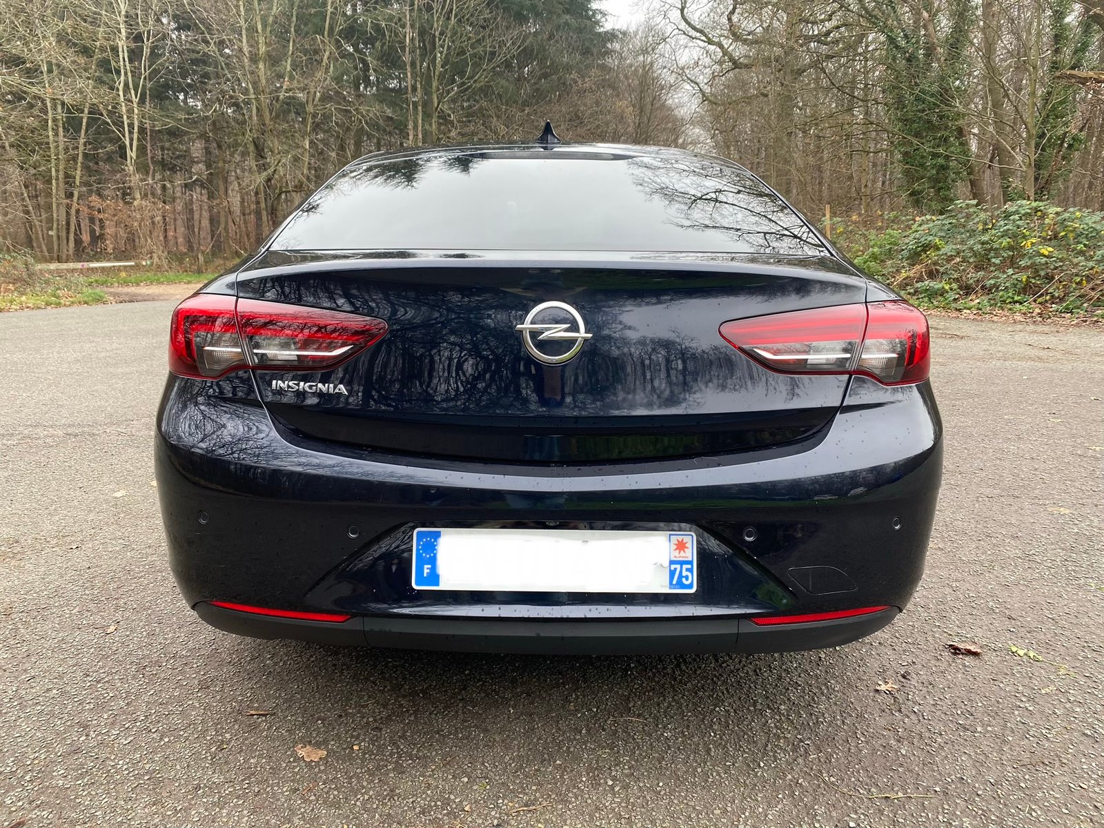 OPEL Insignia Grand Sport Elite 1.6 CTDI 16V S&S 136 cv