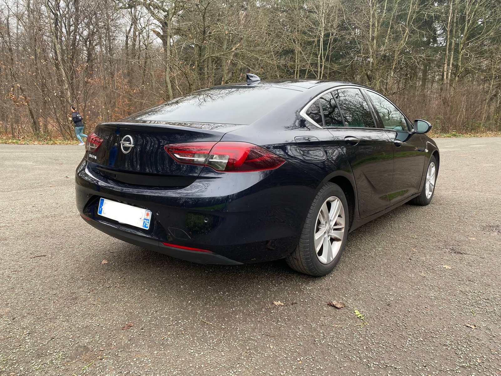 OPEL Insignia Grand Sport Elite 1.6 CTDI 16V S&S 136 cv