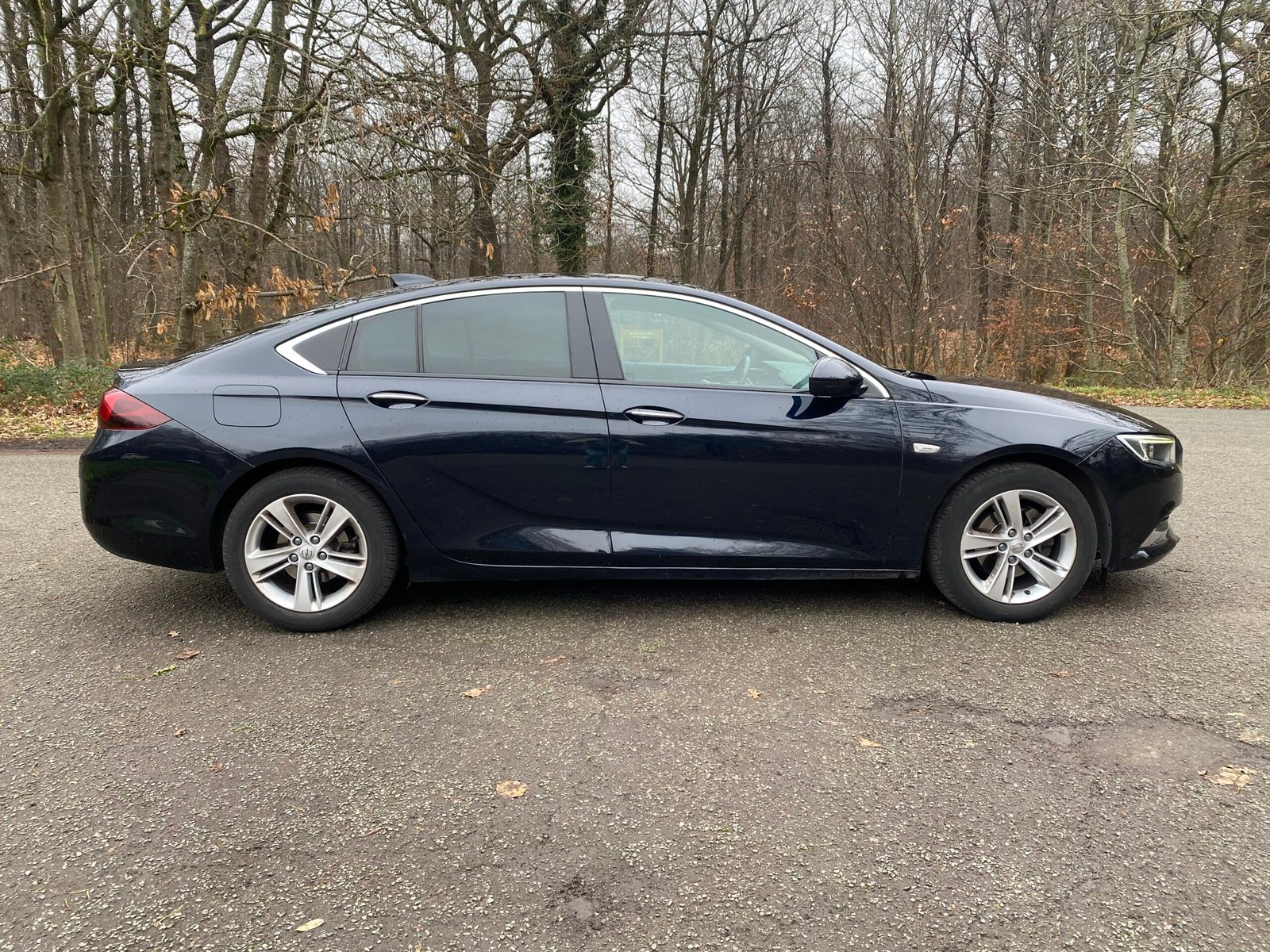OPEL Insignia Grand Sport Elite 1.6 CTDI 16V S&S 136 cv
