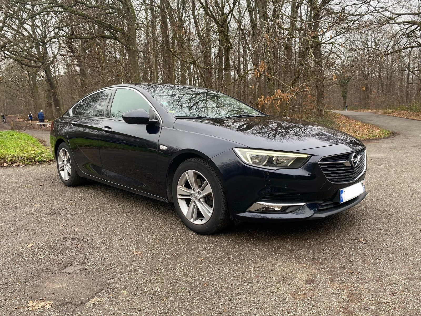 OPEL Insignia Grand Sport Elite 1.6 CTDI 16V S&S 136 cv