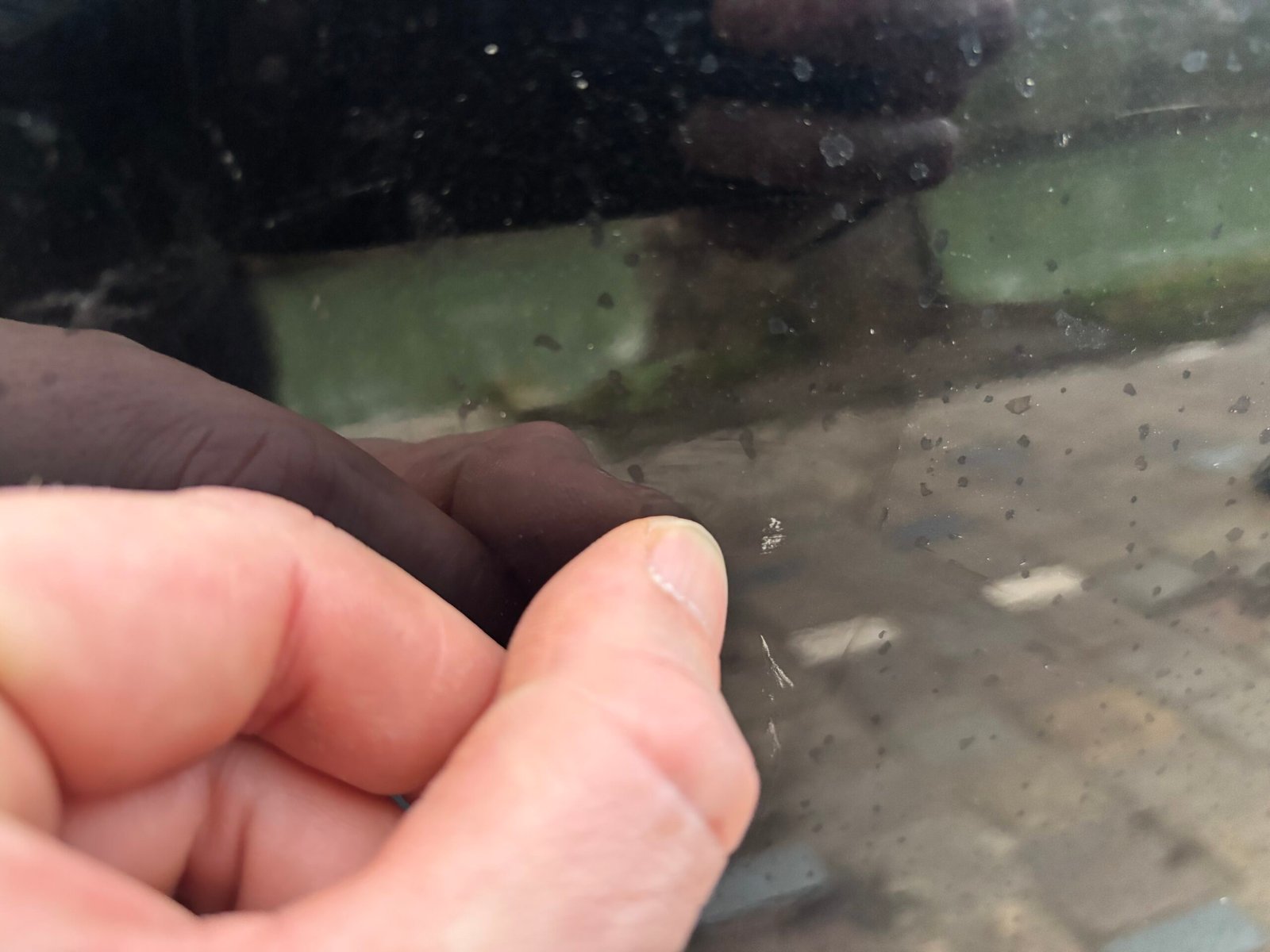 Volkswagen Polo 75 Ch Confortline