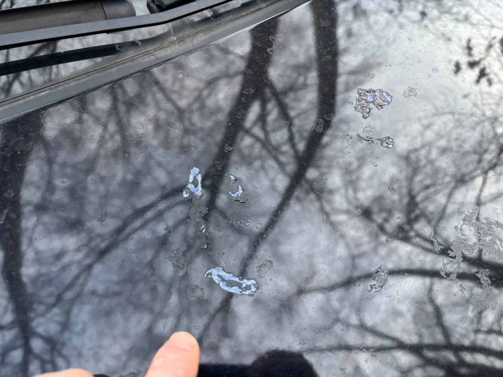 Volkswagen Polo 75 Ch Confortline