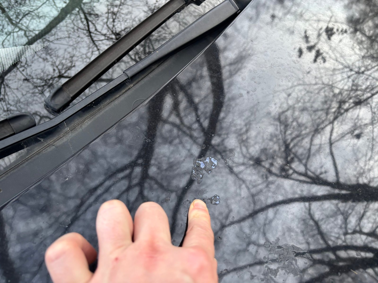 Volkswagen Polo 75 Ch Confortline