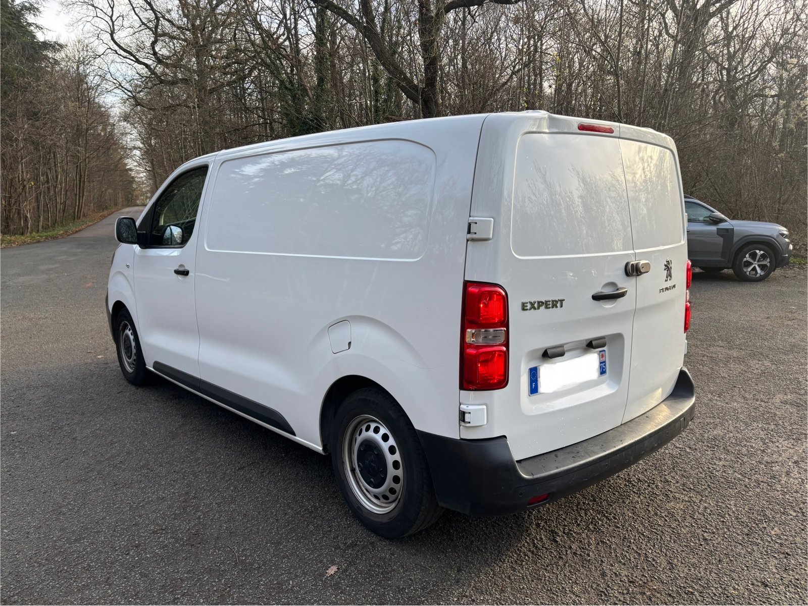 PEUGEOT Expert III VUL Standard 1.6 Blue HDi 95 cv PREMIUM PACK