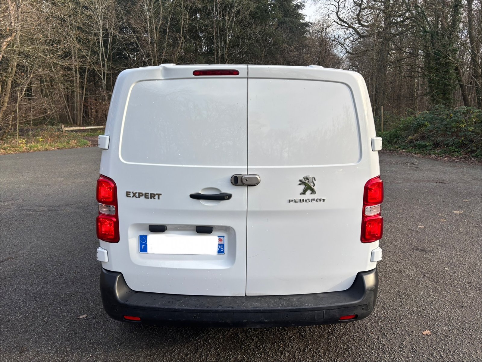 PEUGEOT Expert III VUL Standard 1.6 Blue HDi 95 cv PREMIUM PACK