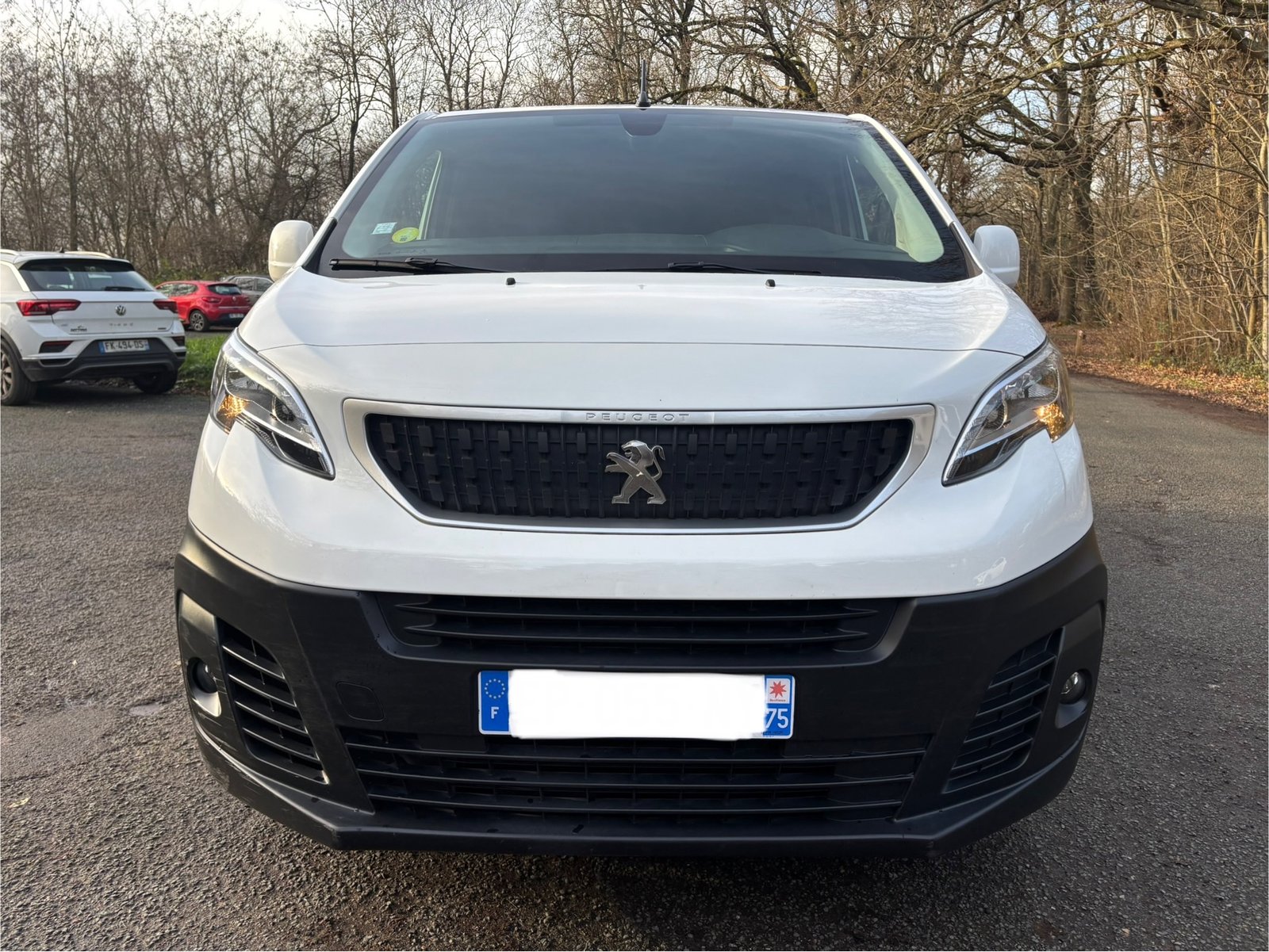 PEUGEOT Expert III VUL Standard 1.6 Blue HDi 95 cv PREMIUM PACK