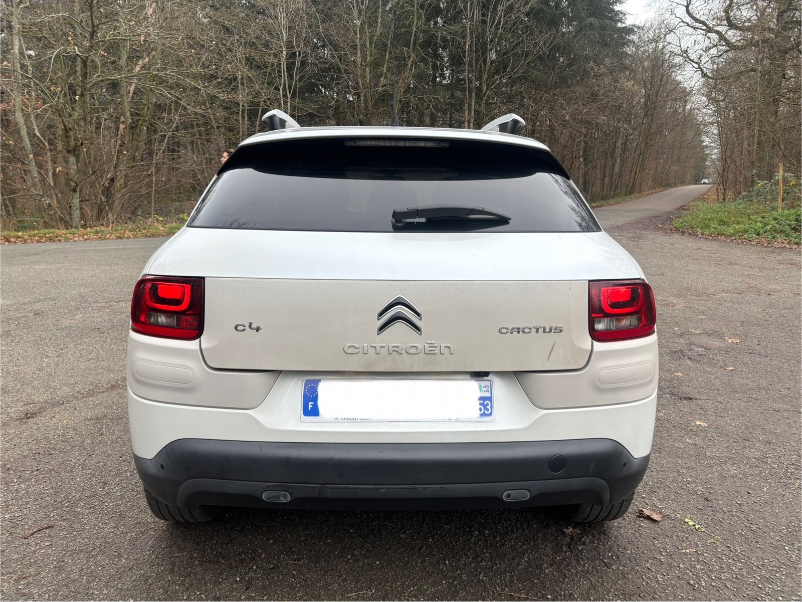CITROËN C4 Cactus 1.2 e-THP 12V 110 cv SHINE