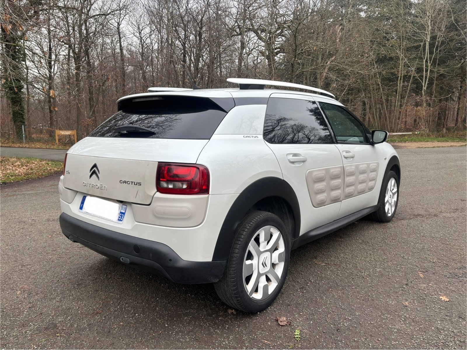 CITROËN C4 Cactus 1.2 e-THP 12V 110 cv SHINE