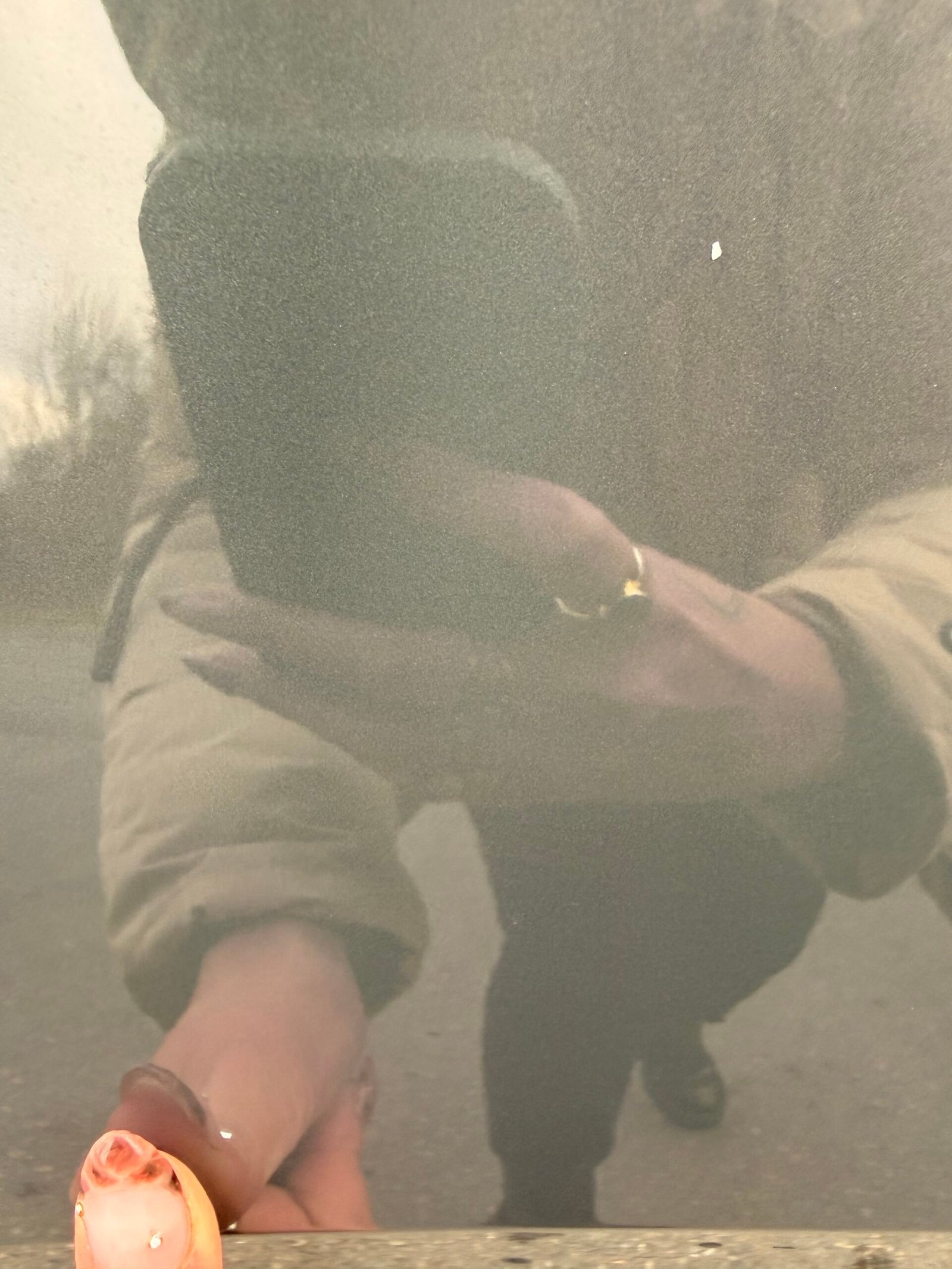 VOLKSWAGEN Golf VIII GTD 2.0 TDi 16V DSG7 200 cv Boîte auto