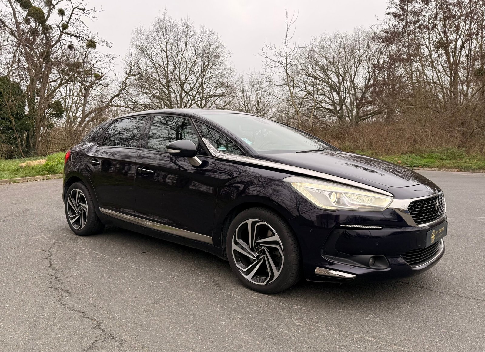 DS DS5 2.0 Blue HDi EAT6 181 cv Boîte auto