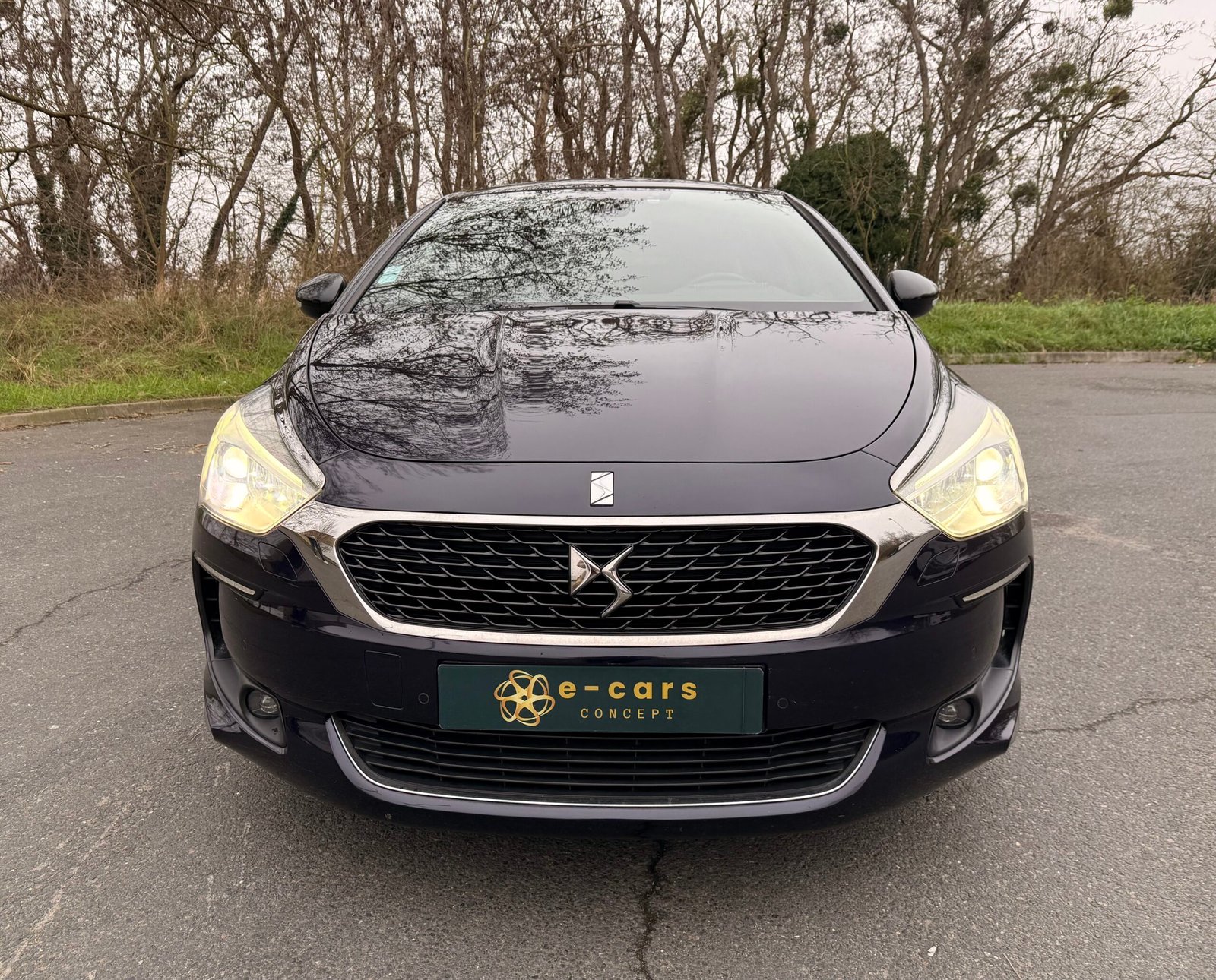 DS DS5 2.0 Blue HDi EAT6 181 cv Boîte auto