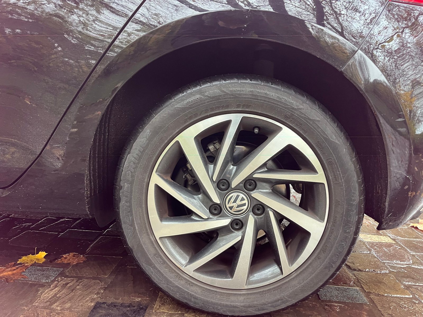 VOLKSWAGEN Golf VII 5 1.0 TSI 12V Blue Motion 110 cv