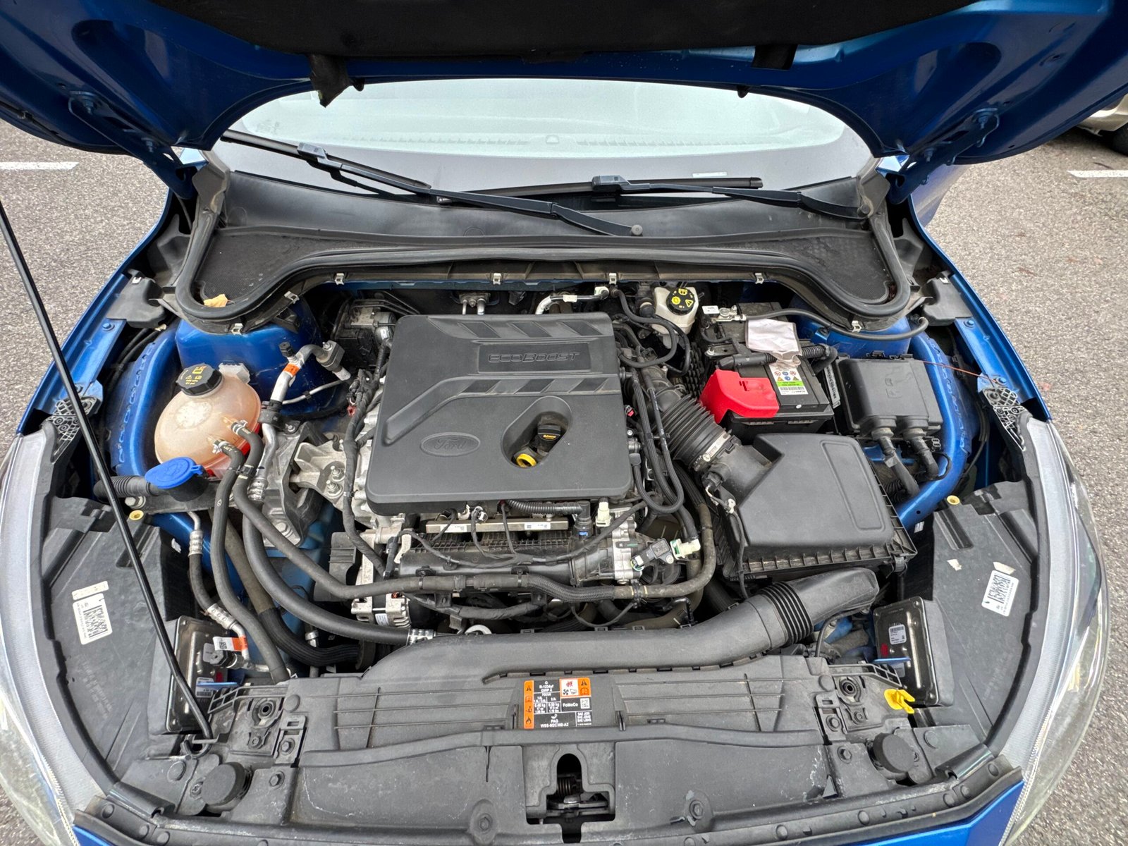 FORD FOCUS IV 1.5 SCTi 12V EcoBoost 150 cv Boîte auto