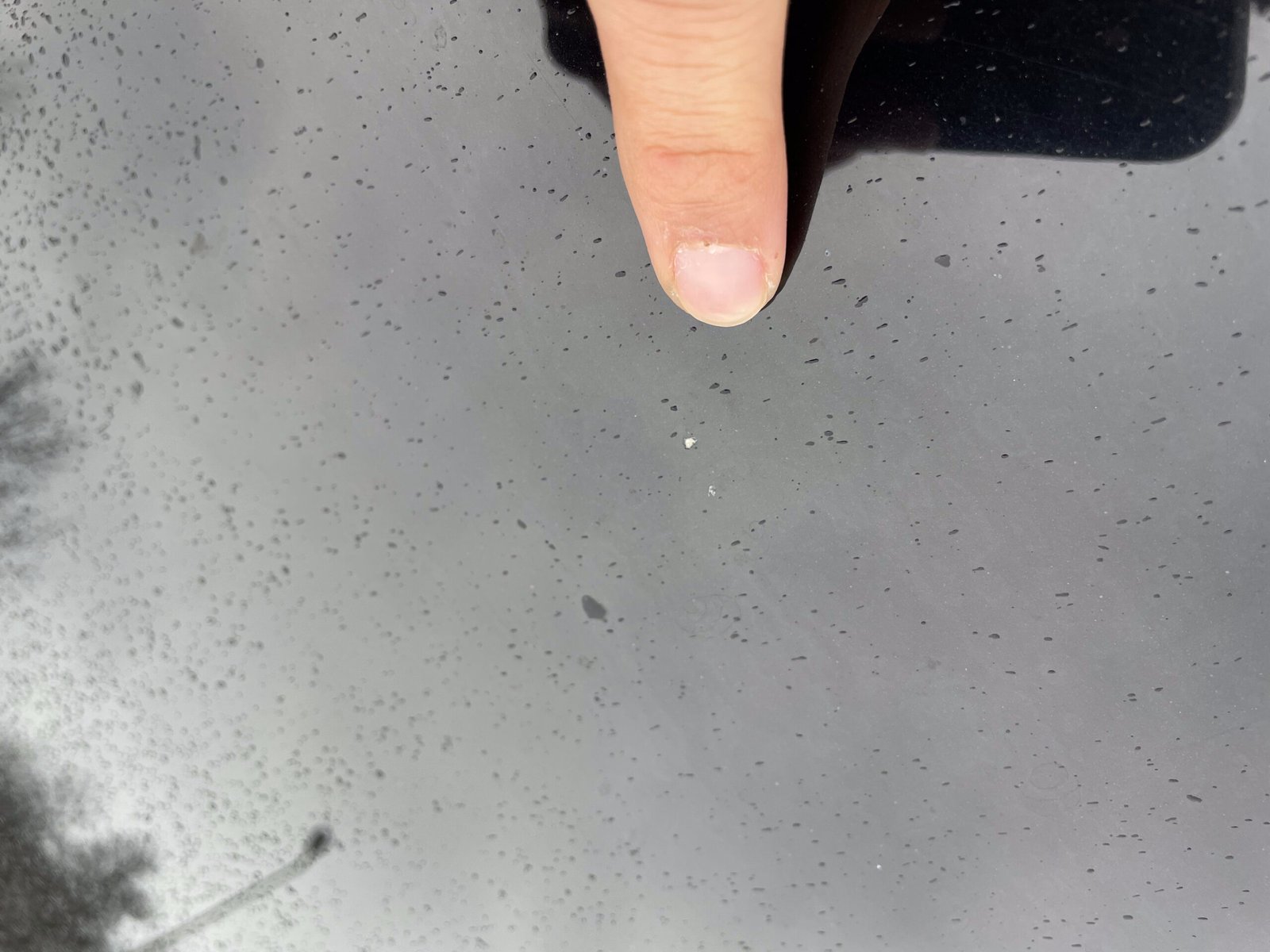 DS DS4 1.6 Blue HDi EAT6 S&S 116 CH