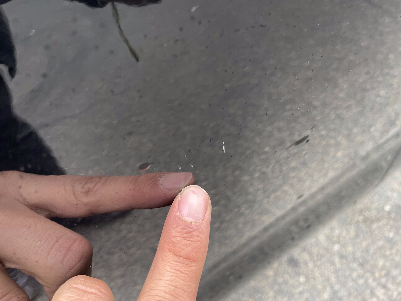 DS DS4 1.6 Blue HDi EAT6 S&S 116 CH