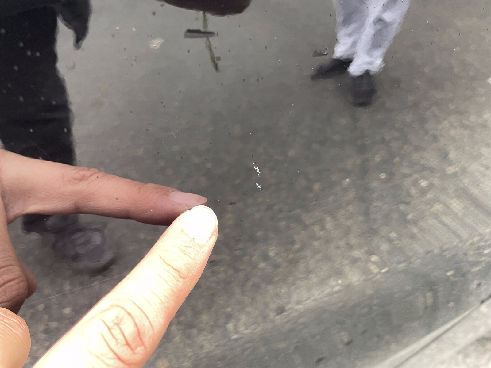 DS DS4 1.6 Blue HDi EAT6 S&S 116 CH