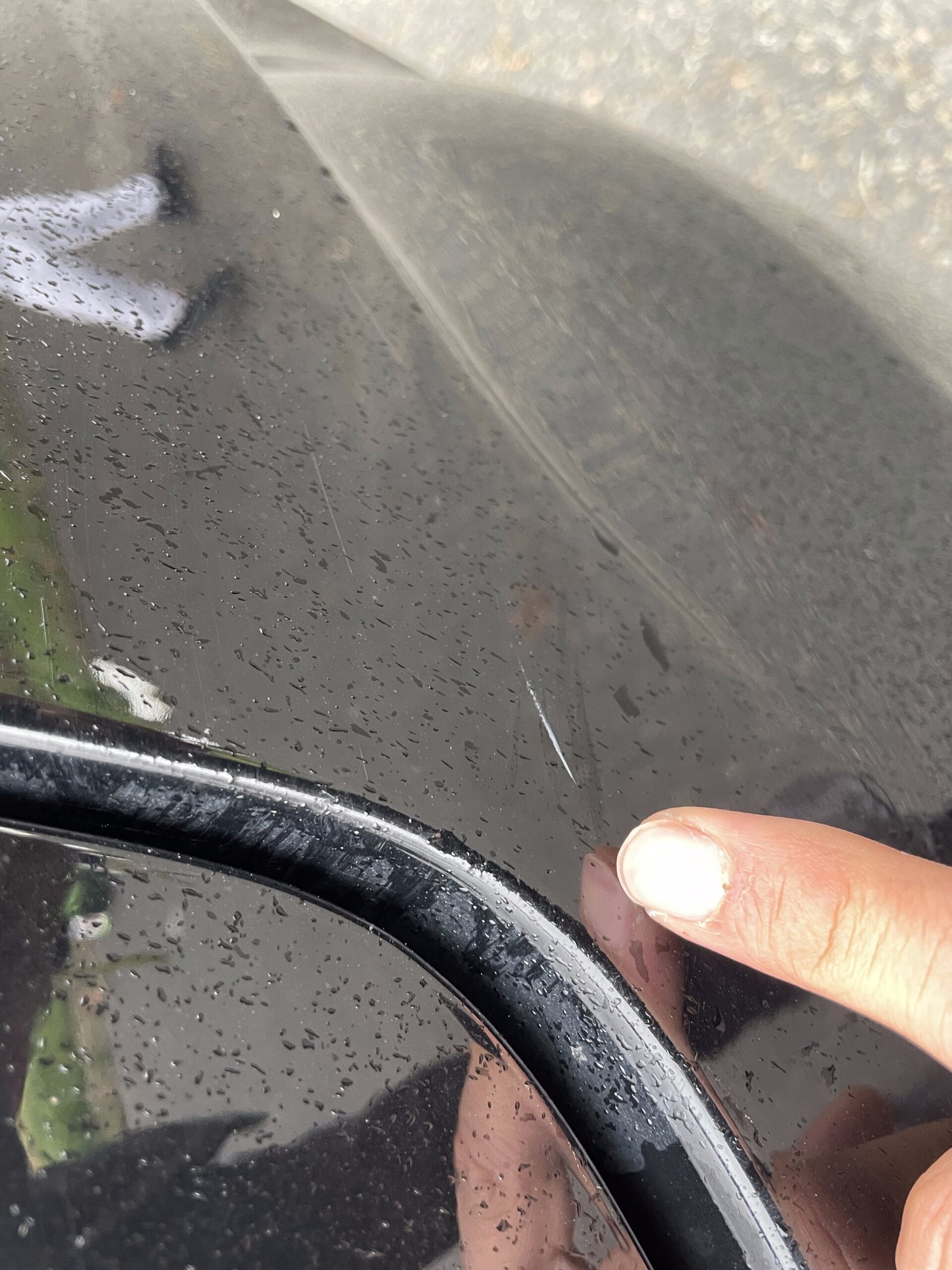 DS DS4 1.6 Blue HDi EAT6 S&S 116 CH