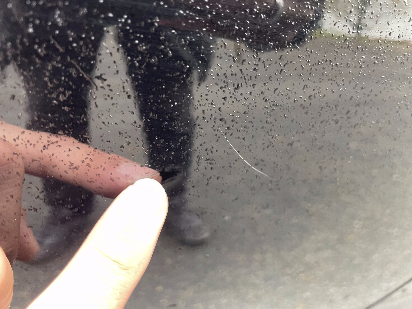 DS DS4 1.6 Blue HDi EAT6 S&S 116 CH