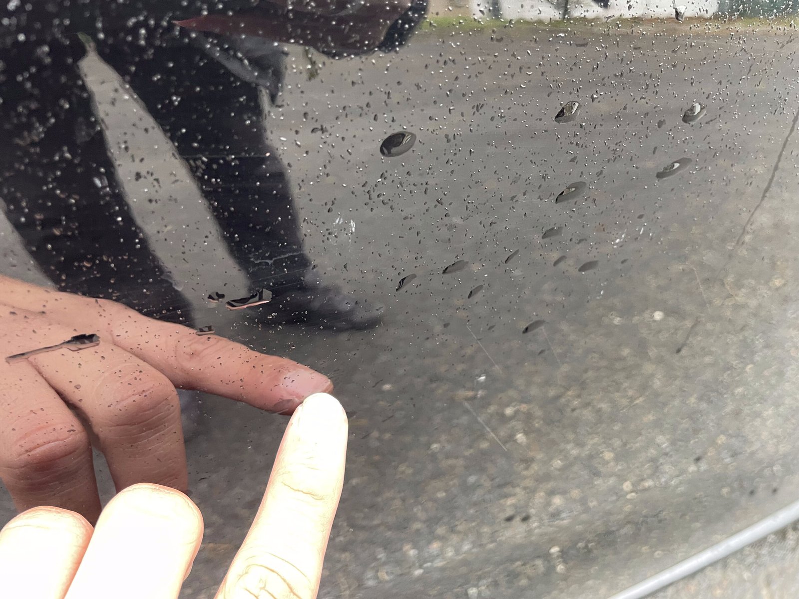 DS DS4 1.6 Blue HDi EAT6 S&S 116 CH