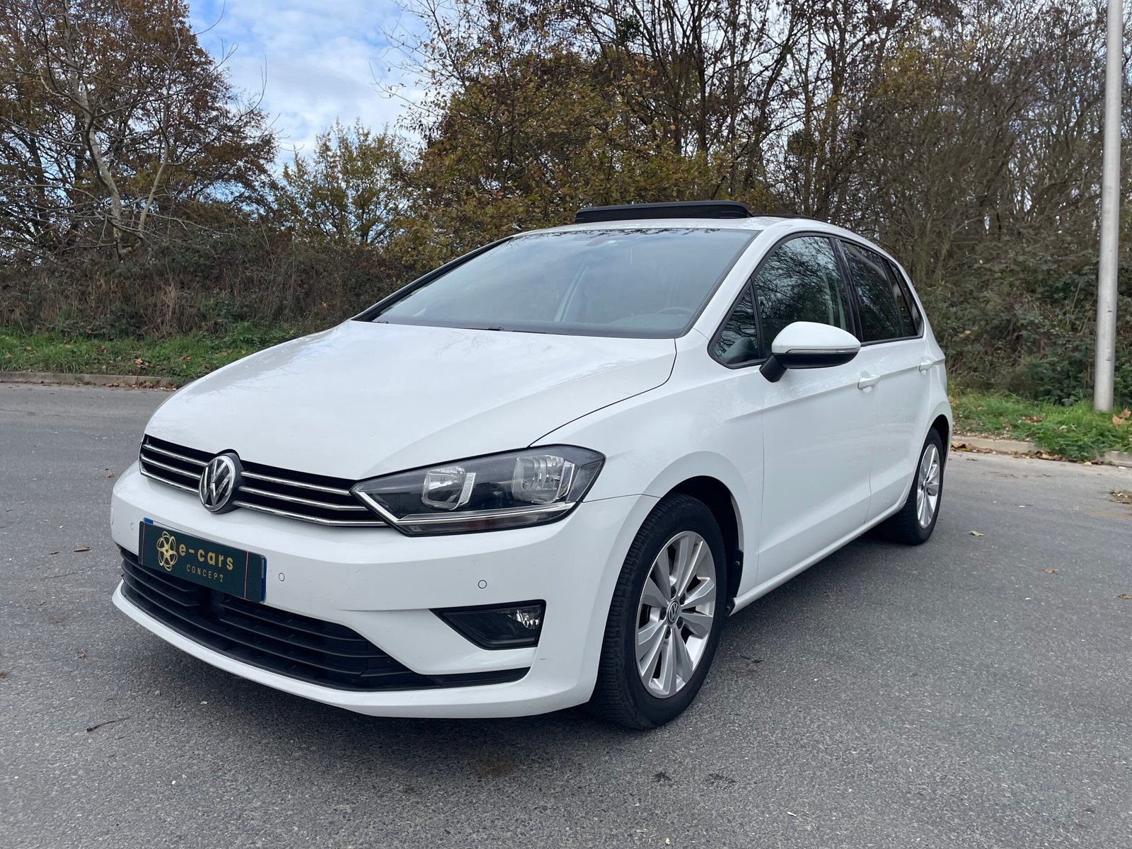 VOLKSWAGEN Golf (VII) Sportsvan 1.6 TDI 110 cv