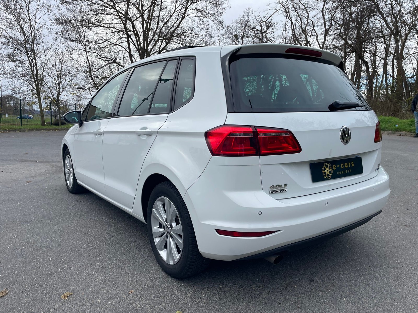 VOLKSWAGEN Golf (VII) Sportsvan 1.6 TDI 110 cv