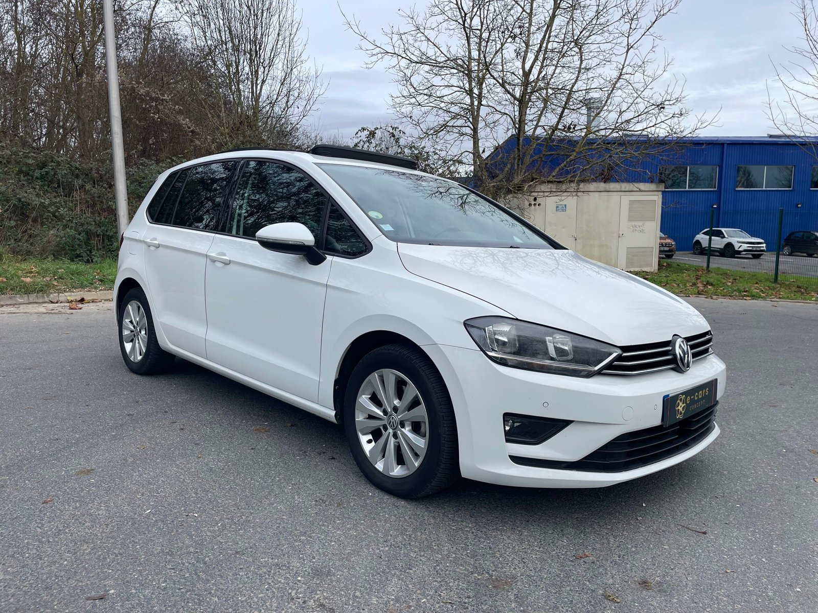 VOLKSWAGEN Golf (VII) Sportsvan 1.6 TDI 110 cv