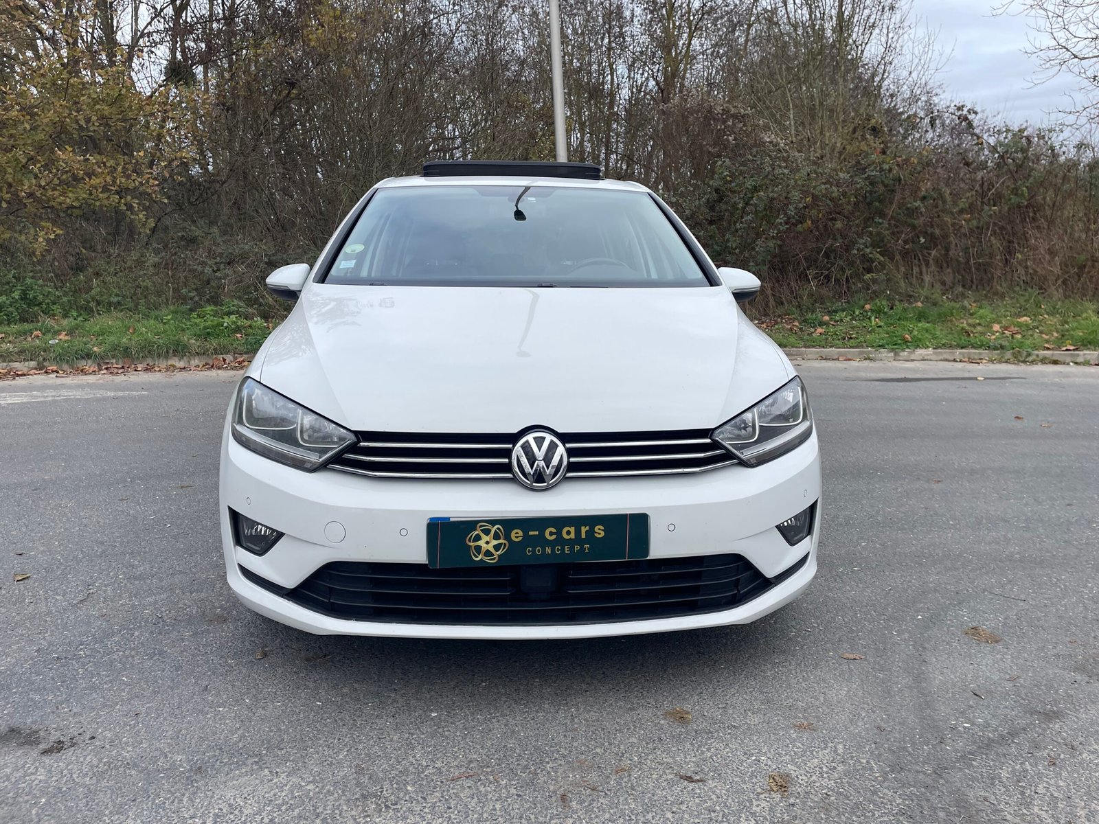 VOLKSWAGEN Golf (VII) Sportsvan 1.6 TDI 110 cv