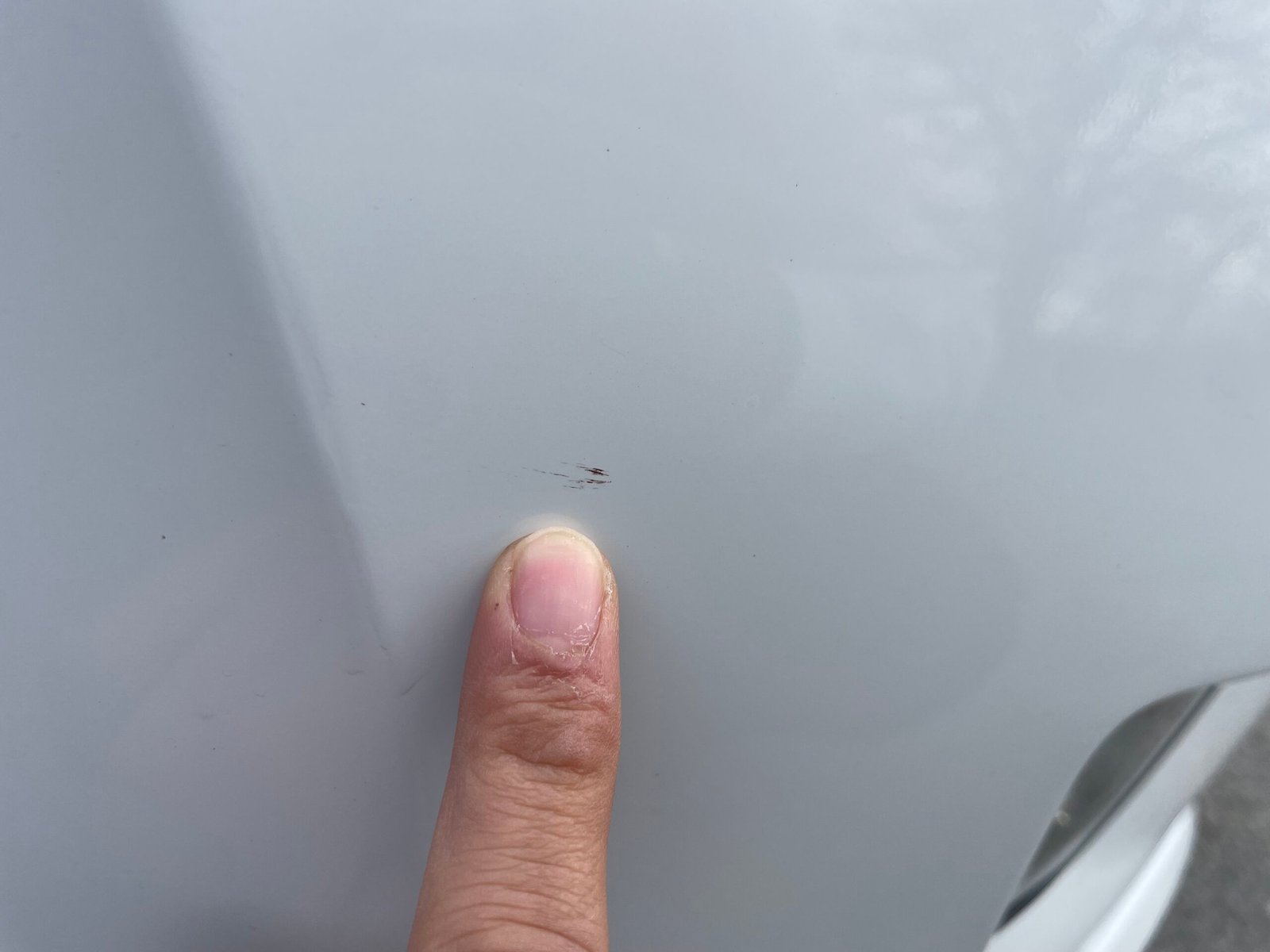 VOLKSWAGEN Golf (VII) Sportsvan 1.6 TDI 110 cv